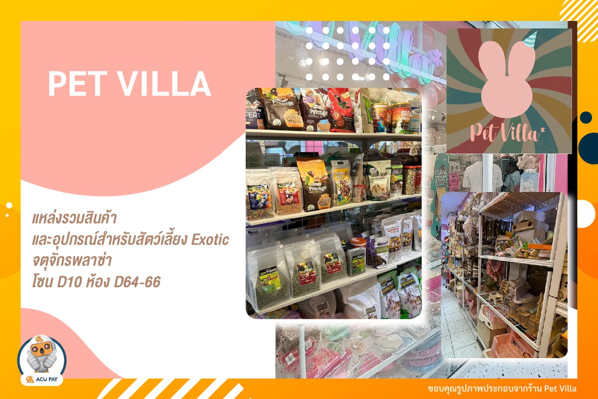 Petvilla Animals ร้านอาหาร อุปกรณ์ และสัตว์เลี้ยงฟันแทะ exotic pets ตลาดศรีสมรัตน์ จตุจักร