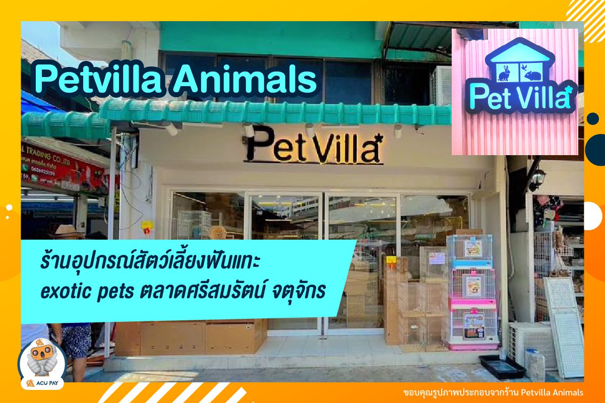 Pet Villa แหล่งรวมสินค้า อาหารสัตว์เลี้ยง exotic ที่จตุจักรพลาซ่า โซน D10 ห้อง D64-66