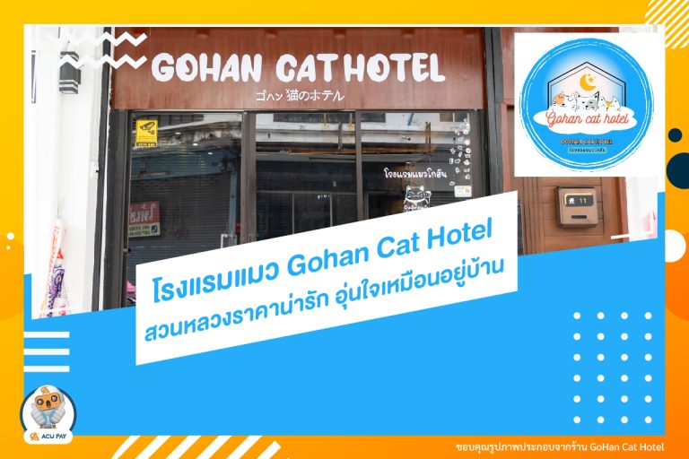 โรงแรมแมว Gohan Cat Hotel ราคาน่ารัก อุ่นใจเหมือนอยู่บ้าน