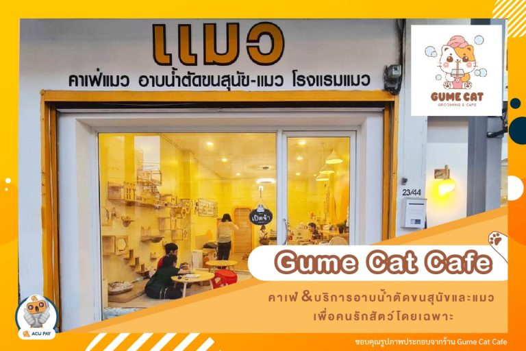 Gume Cat Cafe