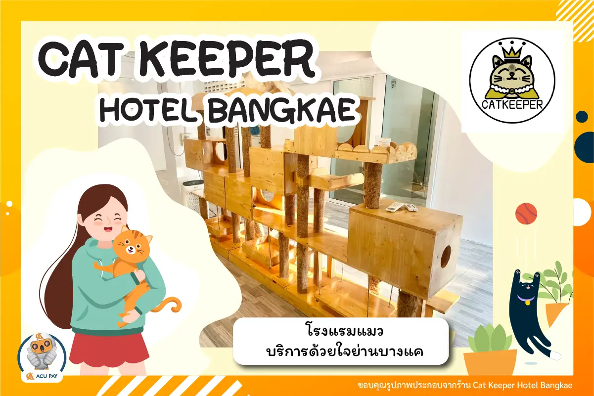 Cat Keeper Hotel Bangkae  โรงแรมแมวบริการด้วยใจย่านบางแค