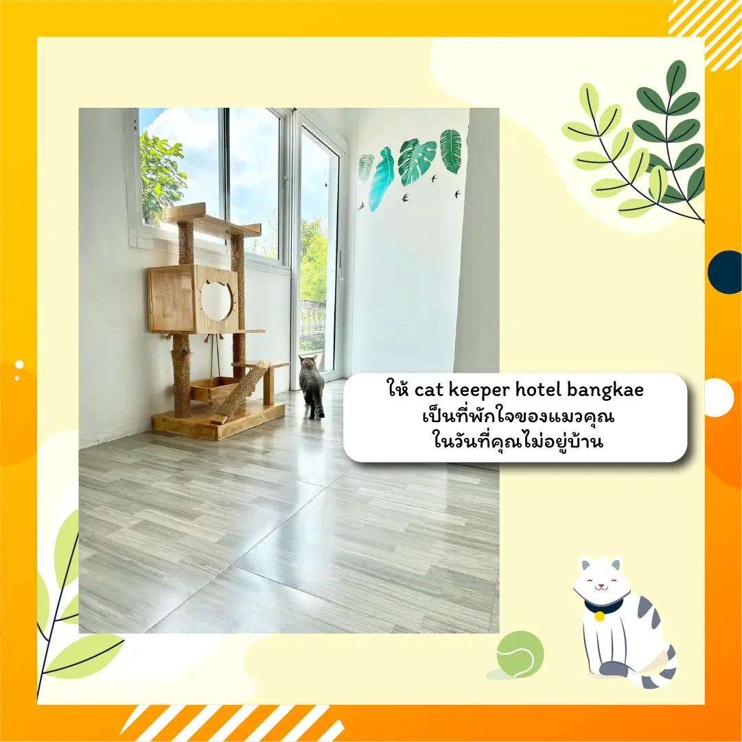 Cat Hotel Bangkae