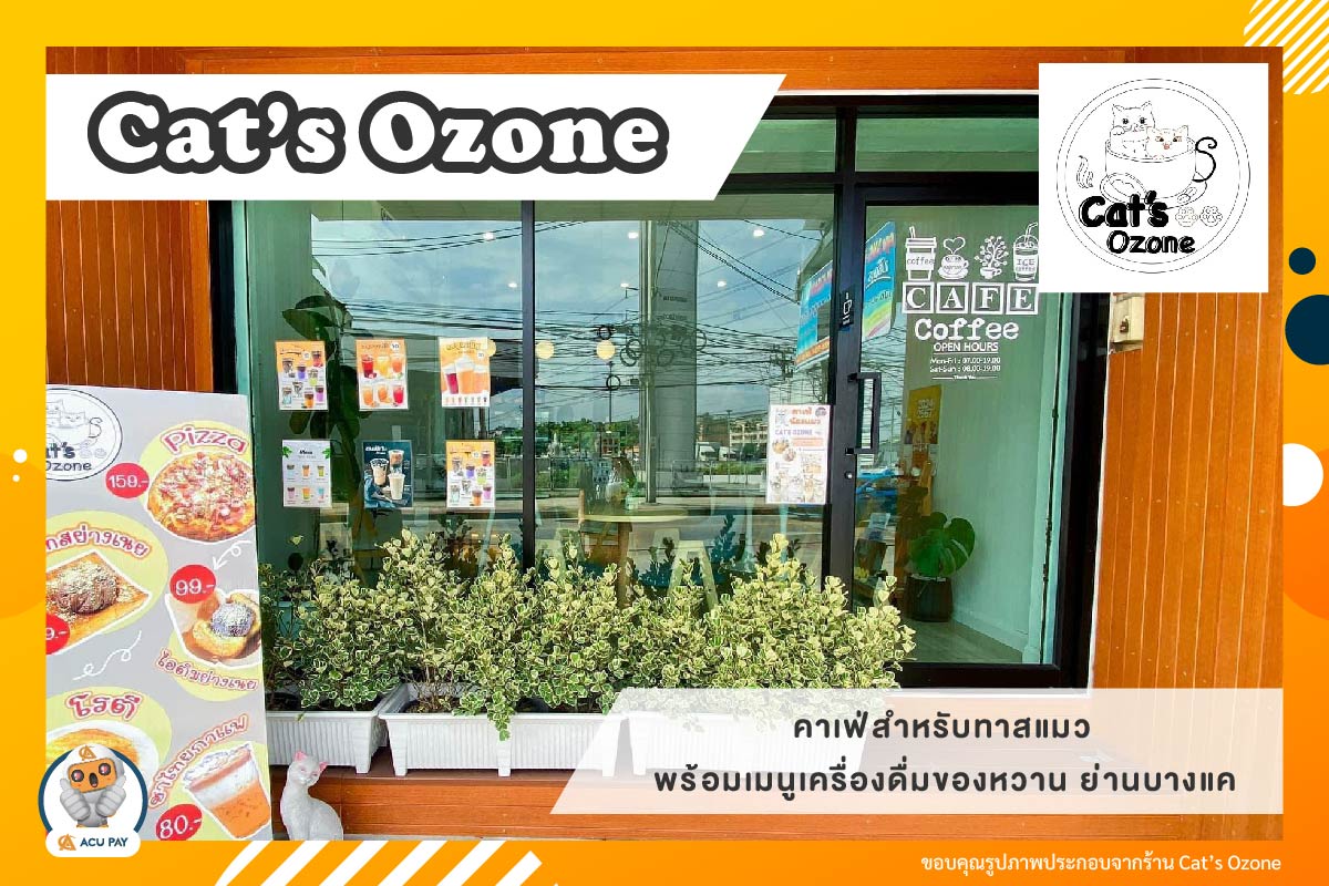 Cat’s Ozone คาเฟ่สำหรับทาสแมวและได้สัมผัสกาแฟที่หอมกรุ่น ย่านบางแค