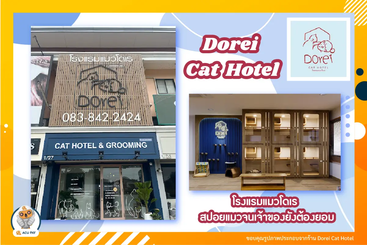 โรงแรมแมว Dorei Cat Hotel สปอยแมวจนเจ้าของยังต้องยอม