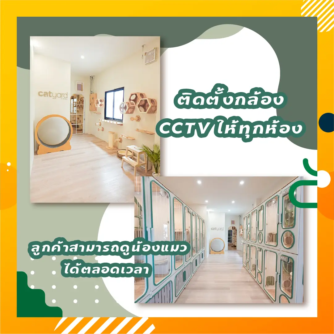 Catyard Hotel