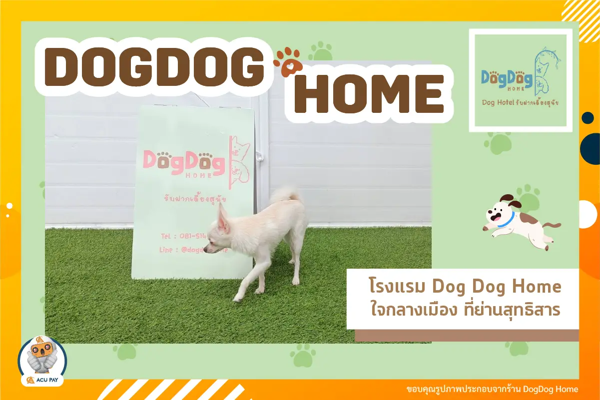 โรงแรม Dog Dog Home  ใจกลางเมือง ที่ย่านสุทธิสาร