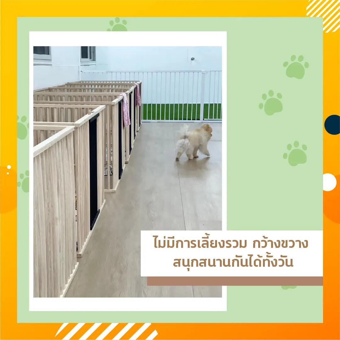 Dog Dog Home