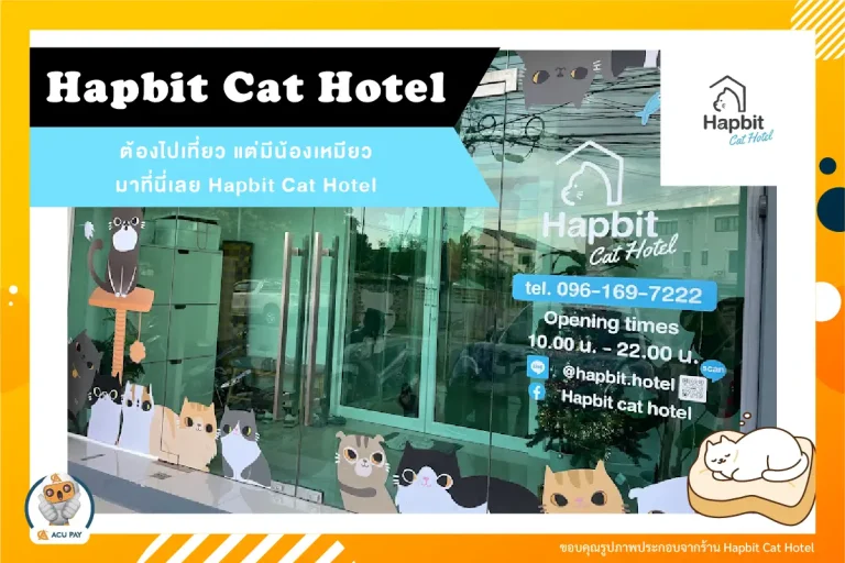 ต้องไปเที่ยว แต่มีน้องเหมียวมาที่นี่เลย Hapbit Cat Hotel