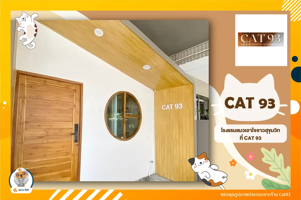 โรงแรมแมวเอาใจชาวสุขุมวิทที่ CAT 93