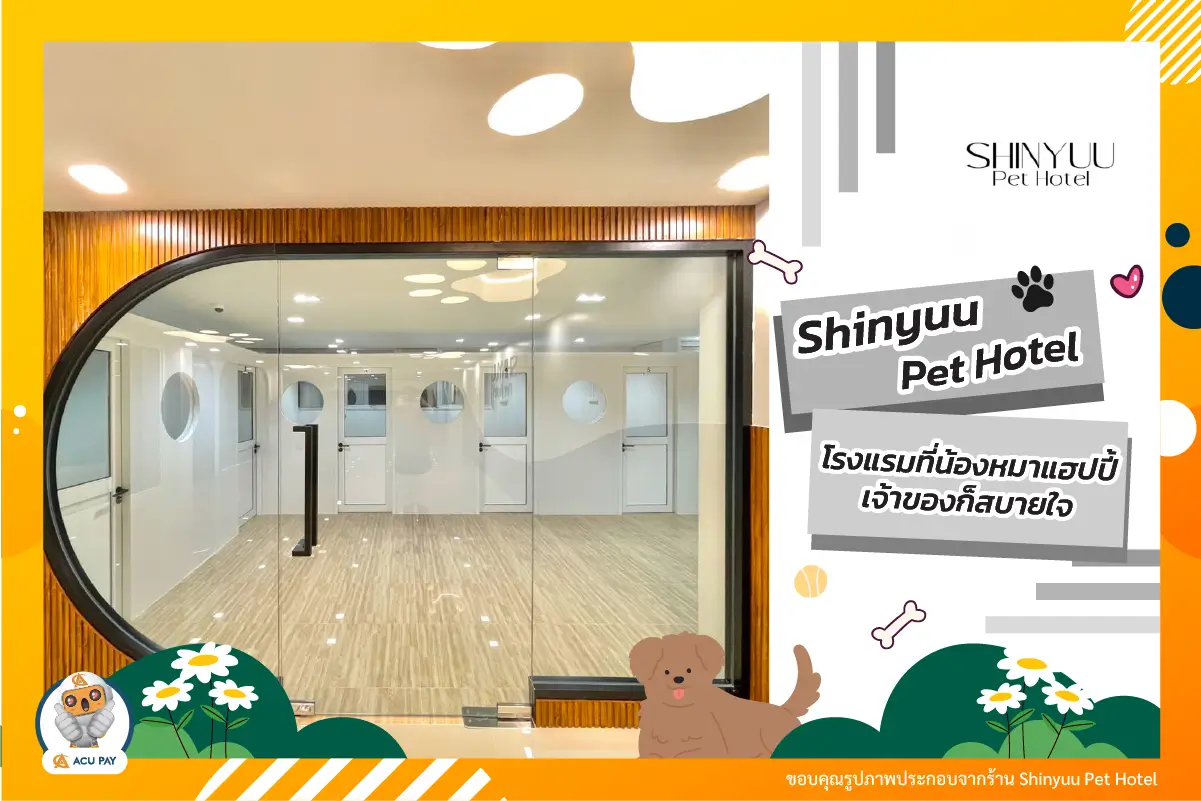 Shinyuu Pet Hotel โรงแรมที่น้องหมาแฮปปี้ เจ้าของก็สบายใจ