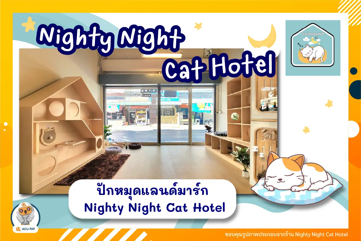 ปักหมุดแลนด์มาร์ก โรงแรมแมวหลับฝันดี Nighty Night Cat Hotel