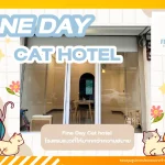 Fine Day Cat hotel โรงแรมแมวที่ให้มากกว่าความสบาย