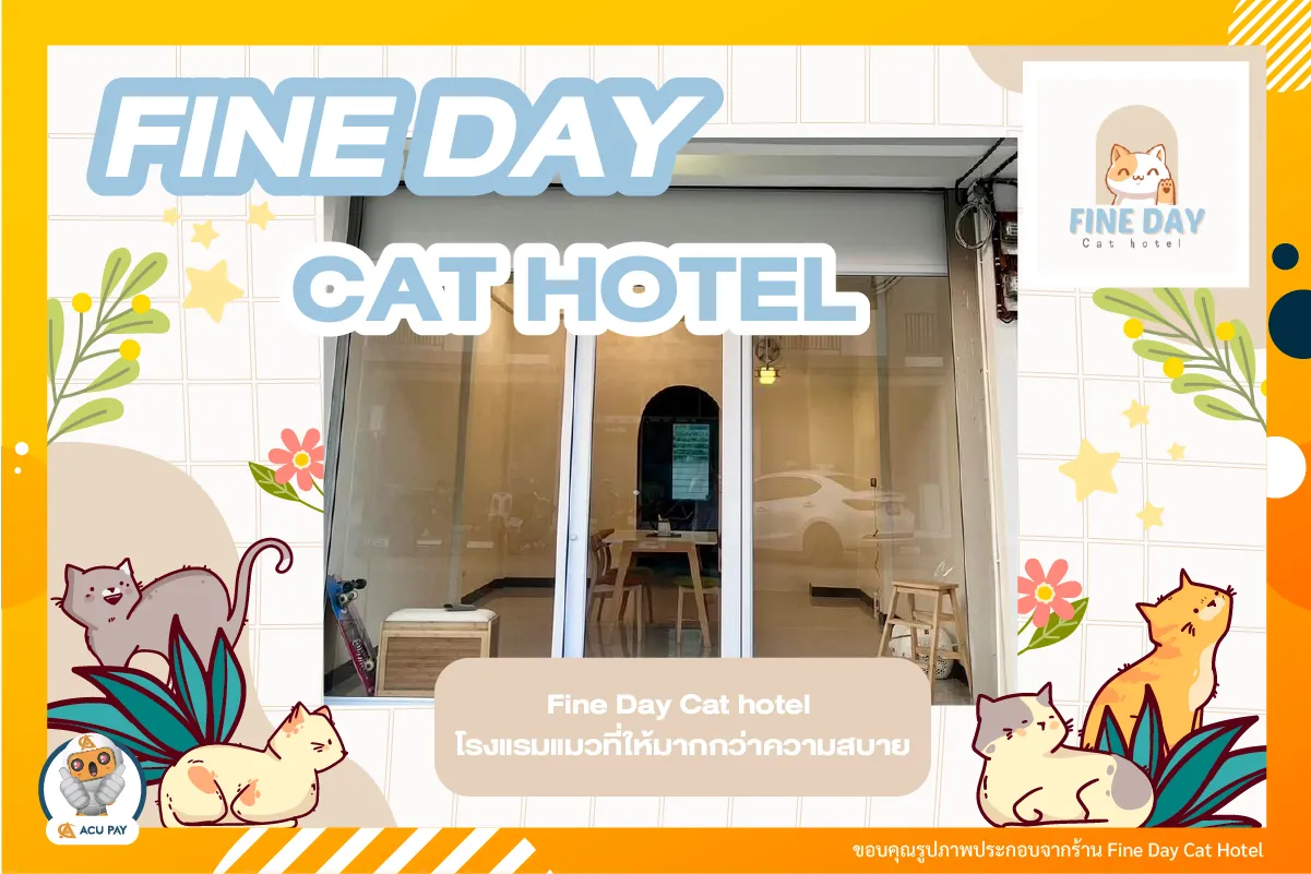 Fine Day Cat hotel โรงแรมแมวที่ให้มากกว่าความสบาย