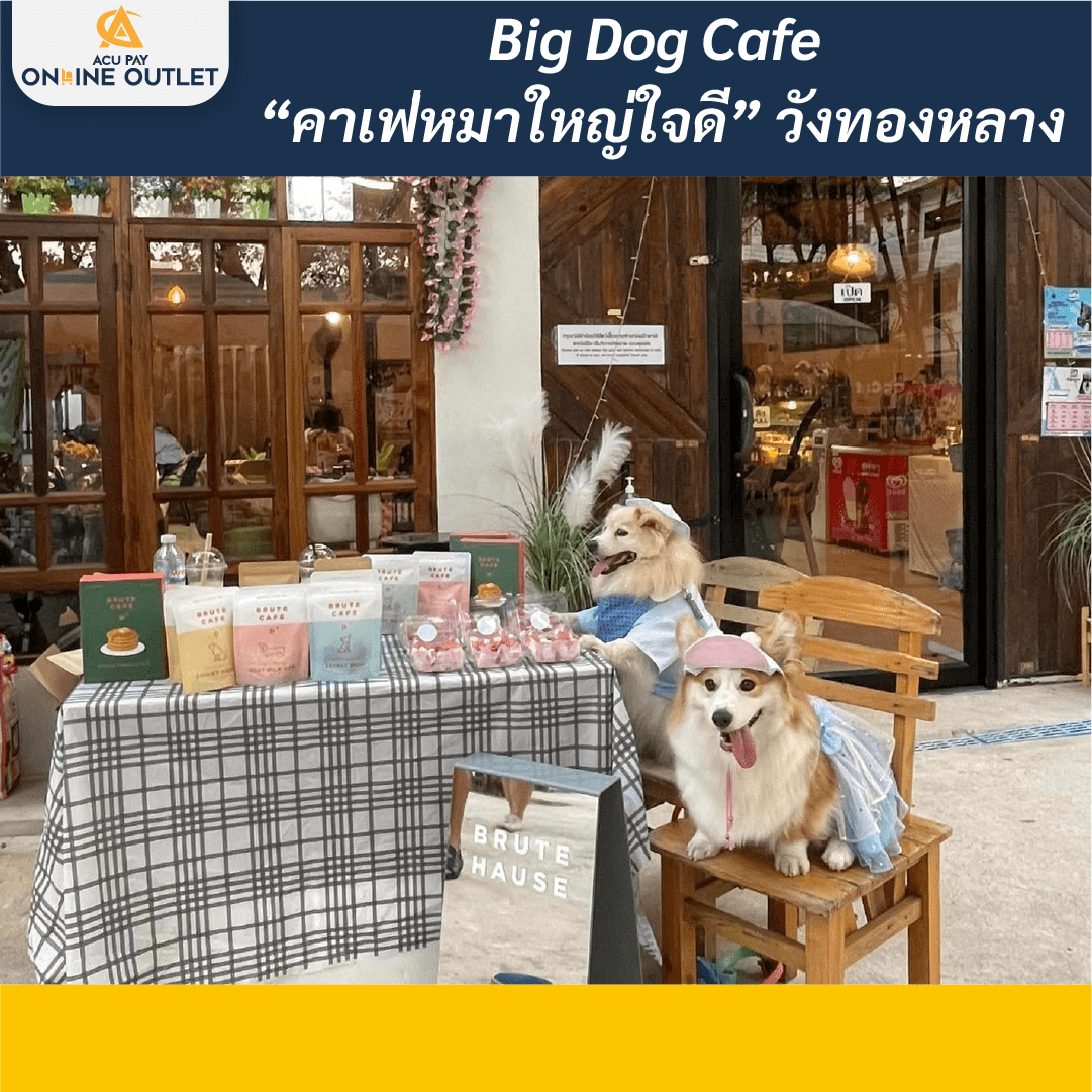 Big Dog Cafe “คาเฟ่หมาใหญ่ใจดี” วังทองหลาง