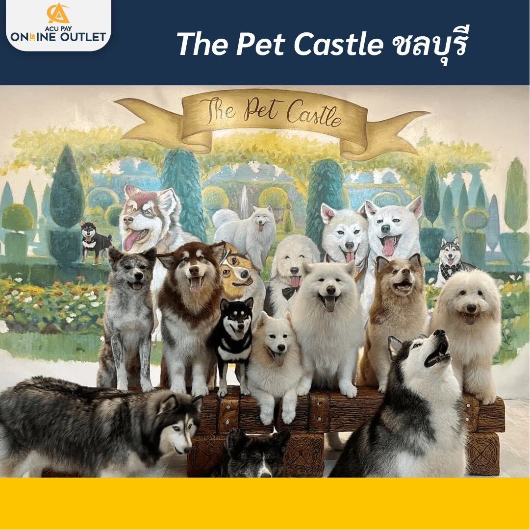 The Pet Castle ชลบุรี