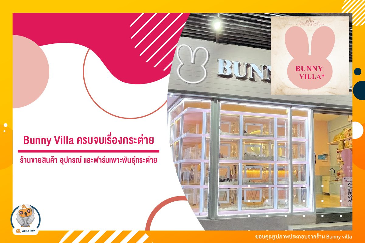 ครบจบเรื่องกระต่าย Bunny Villa ร้านขายสินค้า อุปกรณ์ และฟาร์มเพาะพันธุ์กระต่าย