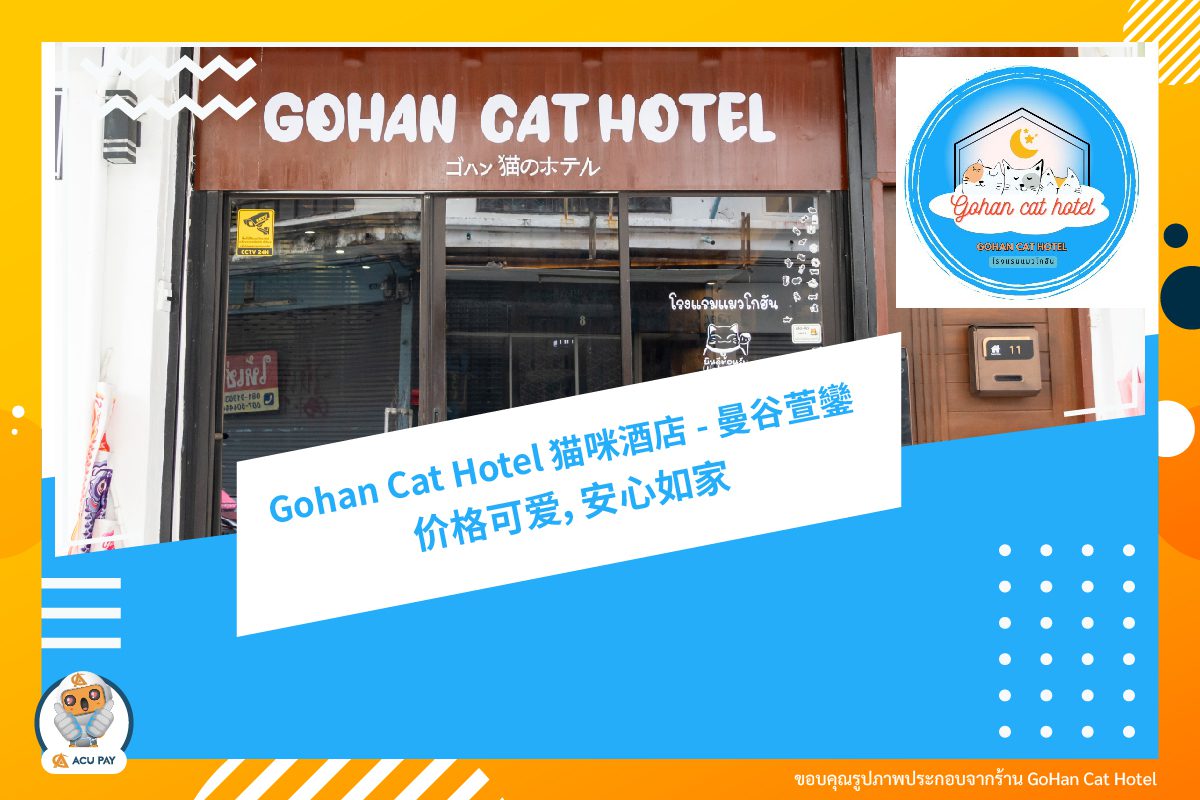 「Gohan Cat Hotel」 價格親民安心如家的貓咪飯店！