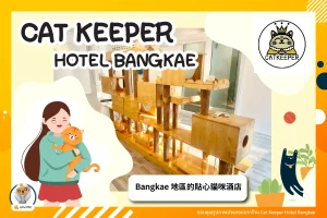 Cat Keeper Hotel