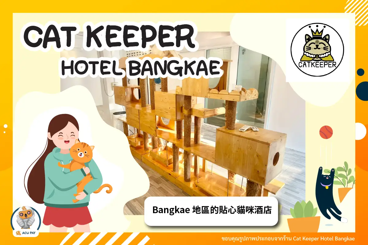 Cat Keeper Hotel Bangkae：Bangkae 地區的貼心貓咪酒店