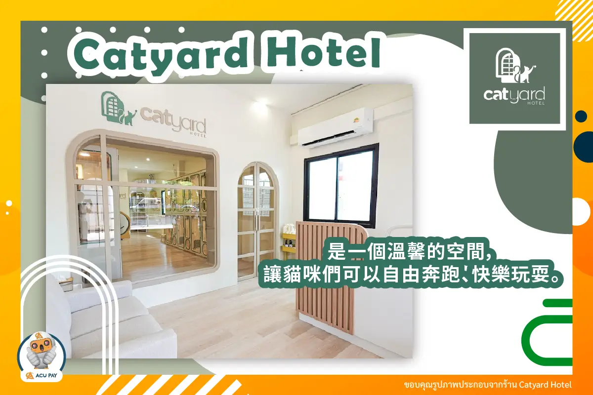 給貓咪一片自由奔跑、充滿愛的空間，就在 Catyard Hotel