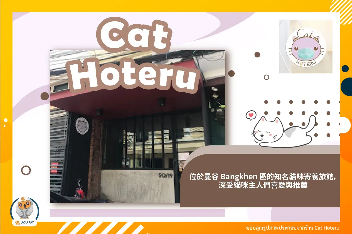 Cat Hoteru —— 曼谷 Bangkhen 最受歡迎的貓咪旅館！