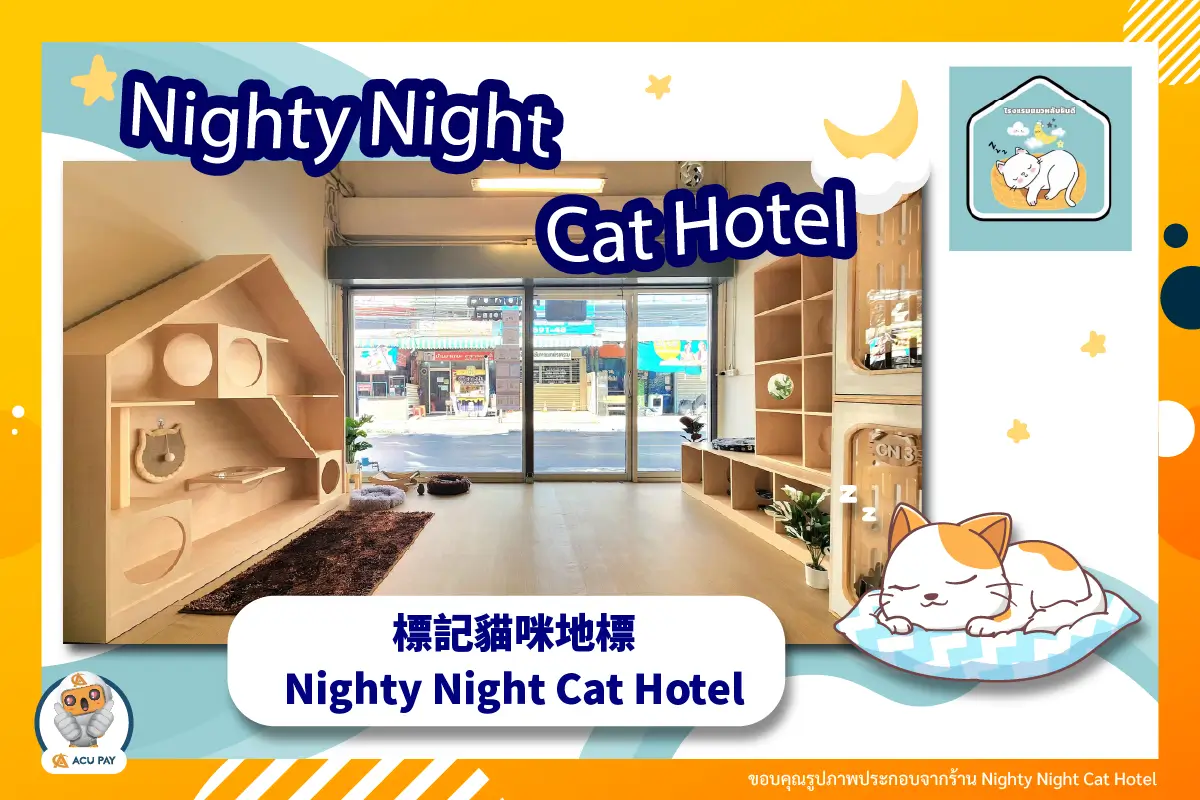 標記貓咪地標－Nighty Night Cat Hotel 貓咪安睡酒店