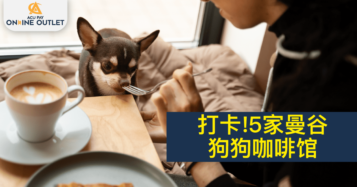 打卡!5家曼谷狗咖啡馆 - ACU Pay