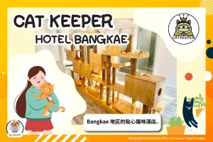 Cat Keeper Hotel