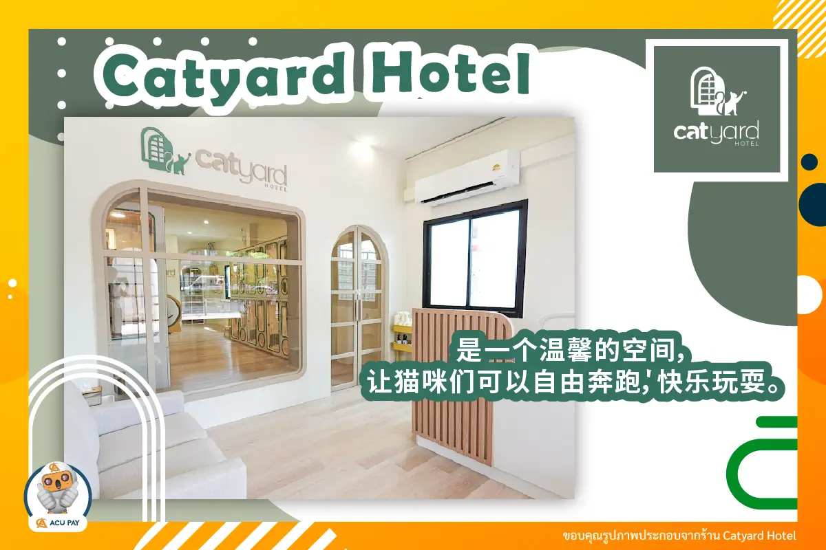 给猫咪一片自由奔跑、充满爱的空间，就在 Catyard Hotel