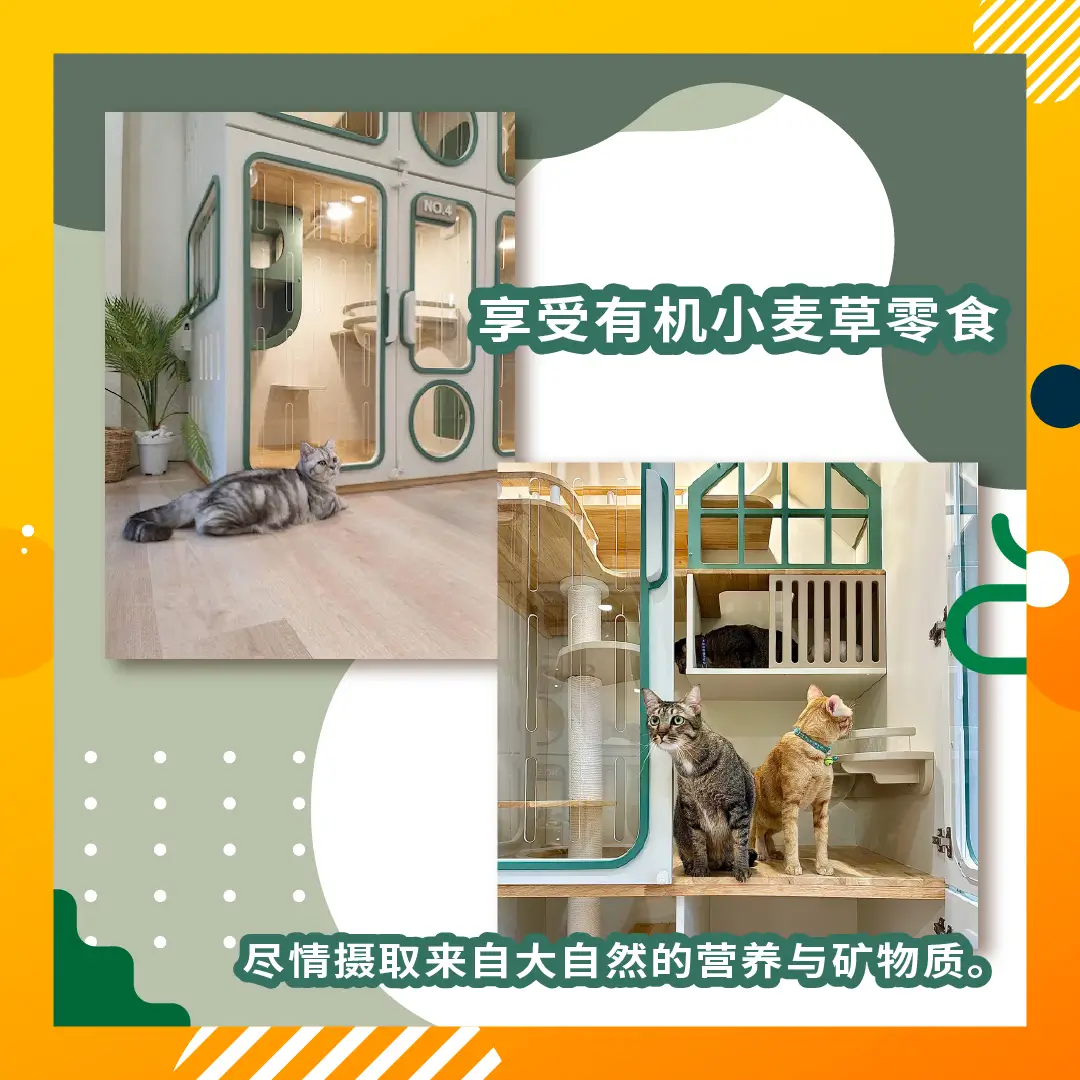 Catyard Hotel