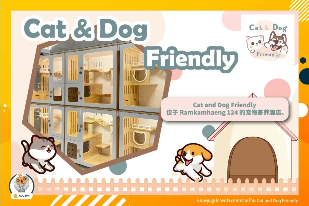 Cat_and_Dog