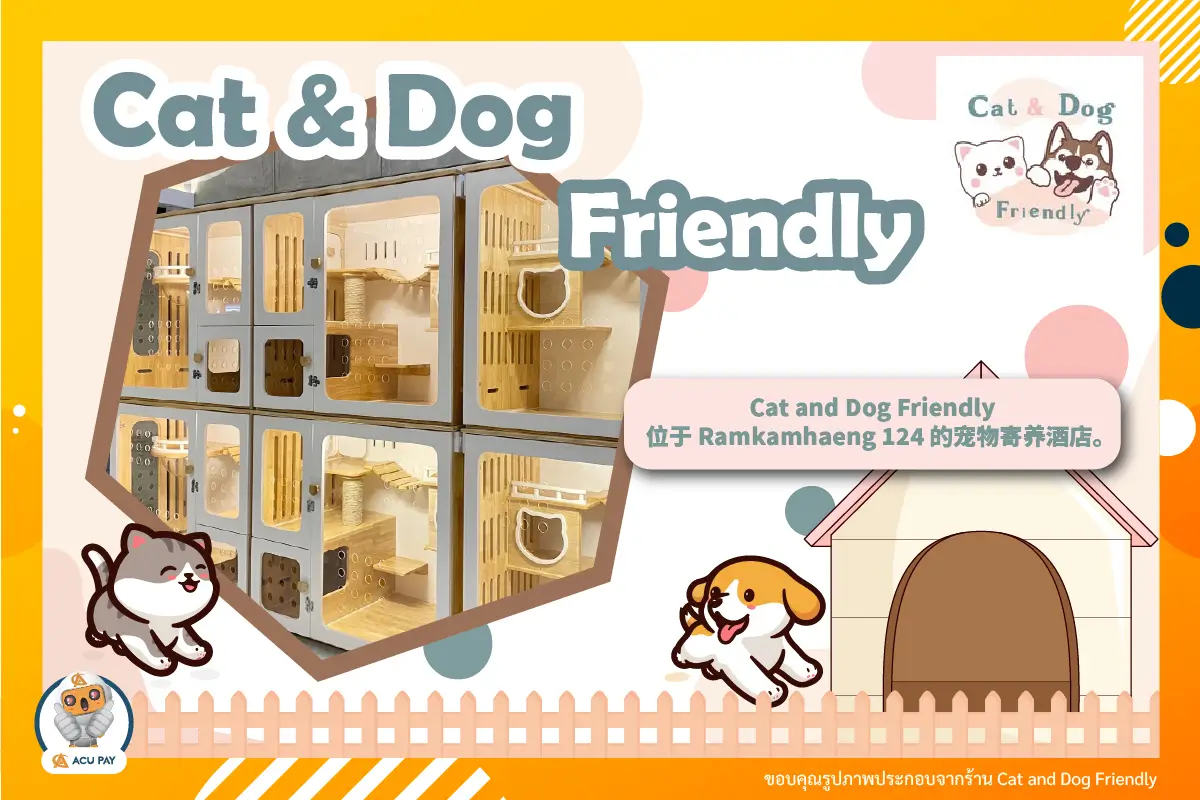 Cat and Dog Friendly，位于 Ramkamhaeng 124 的宠物寄养酒店