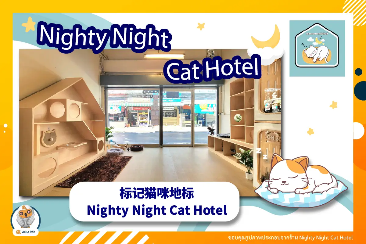 标记猫咪地标——Nighty Night Cat Hotel 猫咪安睡酒店