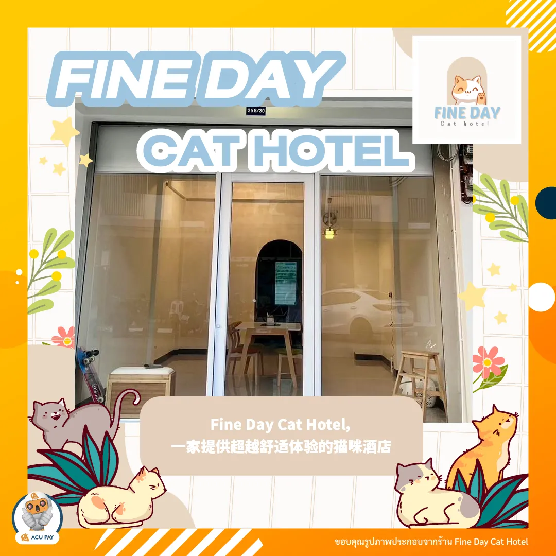 Fine Day Cat Hotel，一家提供超越舒适体验的猫咪酒店