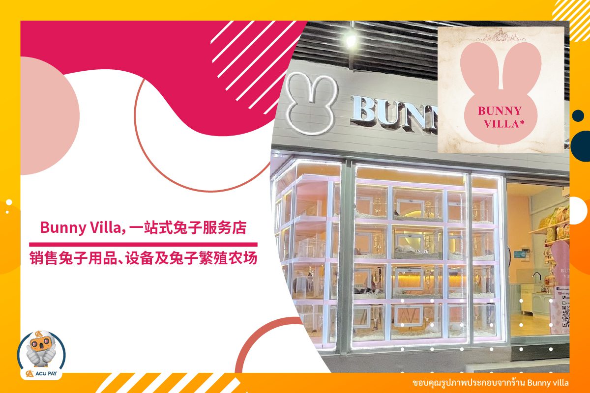 关于兔子的所有一切，Bunny Villa——兔子用品、设备销售及兔子繁殖。