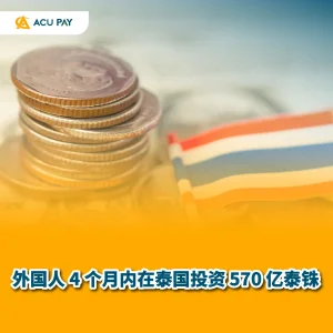 投资