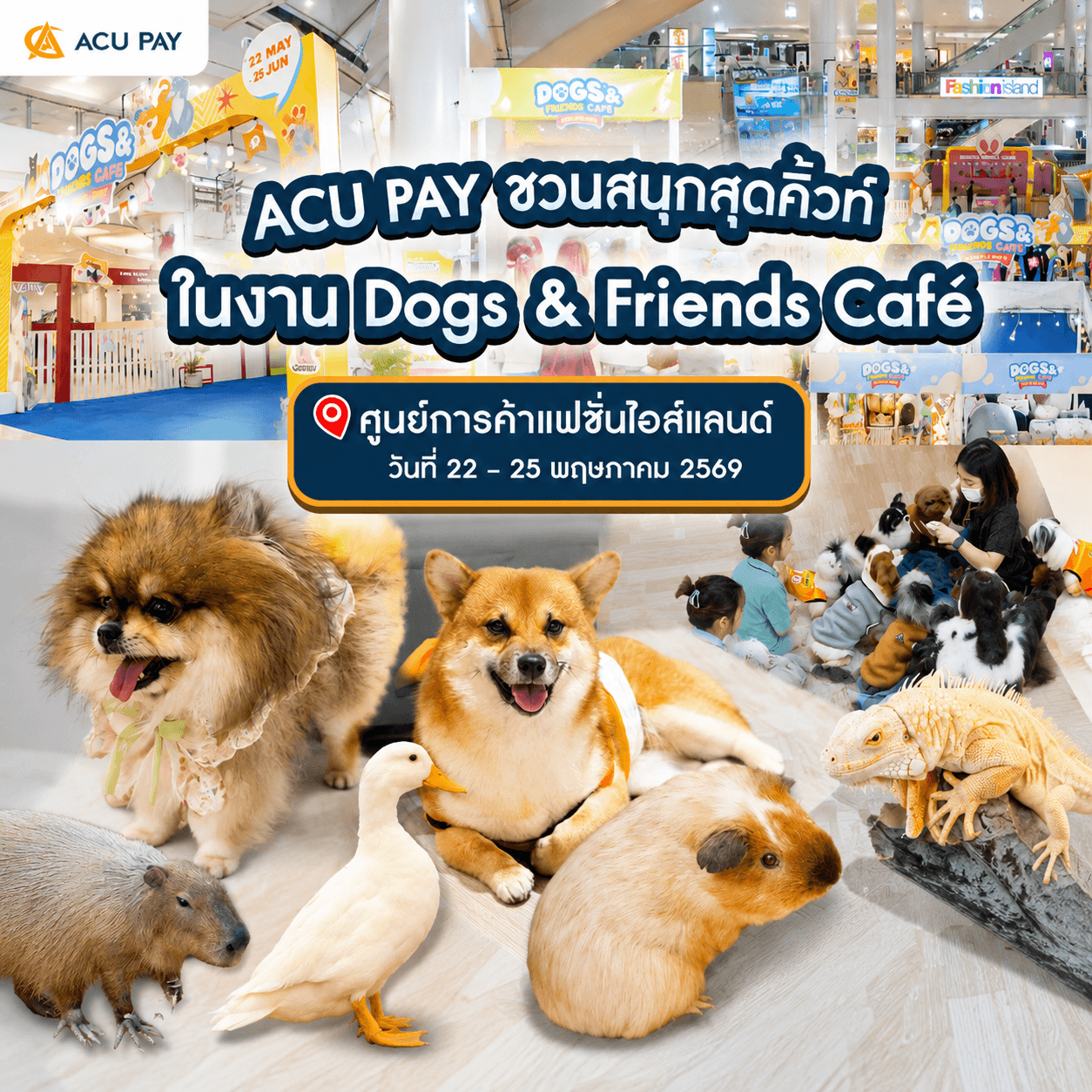 ACU PAY ชวนสนุกสุดคิ้วท์ ในงาน Dogs & Friends Café