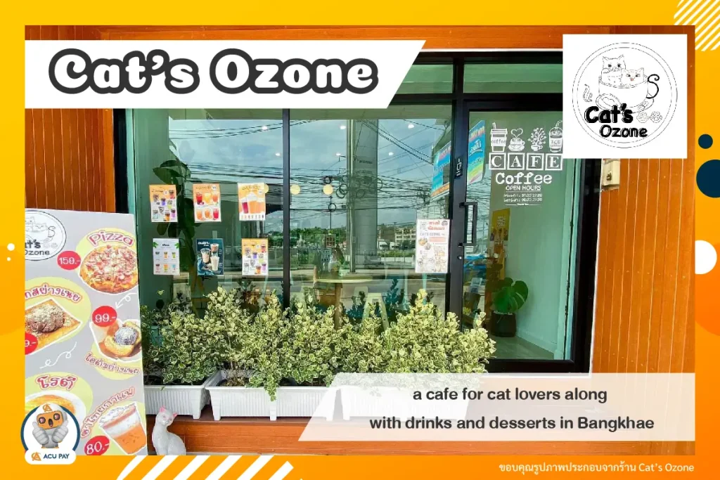 cat ozone