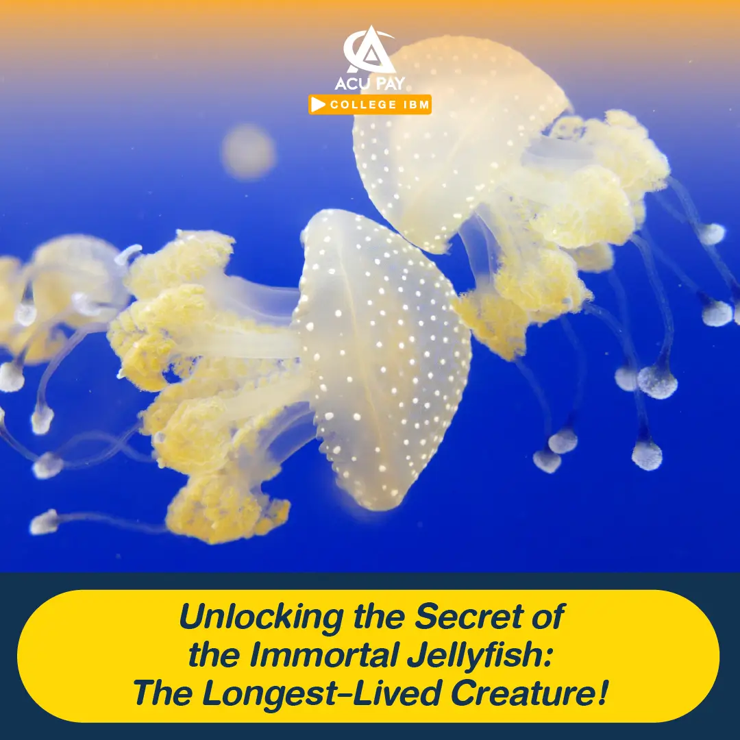 Unlocking the Secret of the Immortal Jellyfish: The Longest-Lived ...