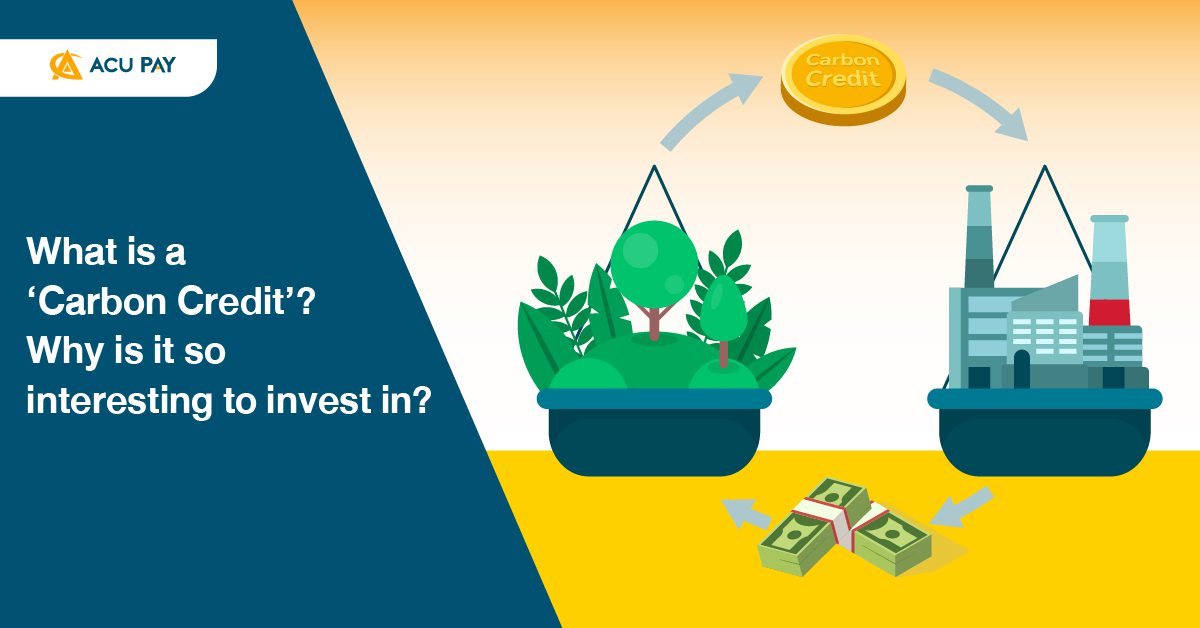 What is a 'Carbon Credit'? Why is it so interesting to invest in? - ACU Pay