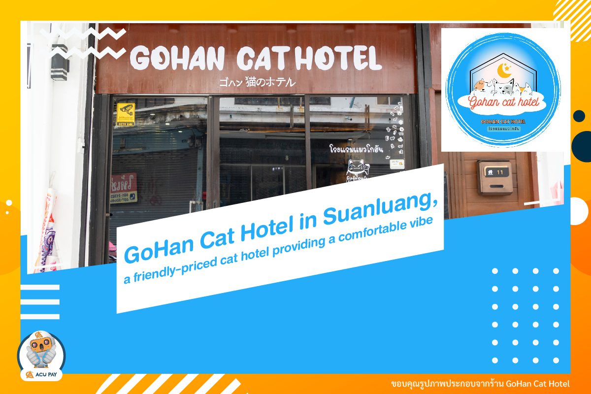 GoHan Cat Hotel, a friendly-priced cat hotel providing a comfortable vibe