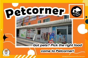 Petcorner