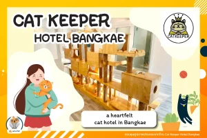 Cat Keeper Hotel
