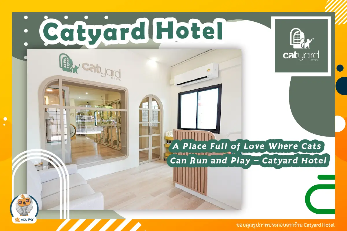 A Place Full of Love Where Cats Can Run and Play – Catyard Hotel