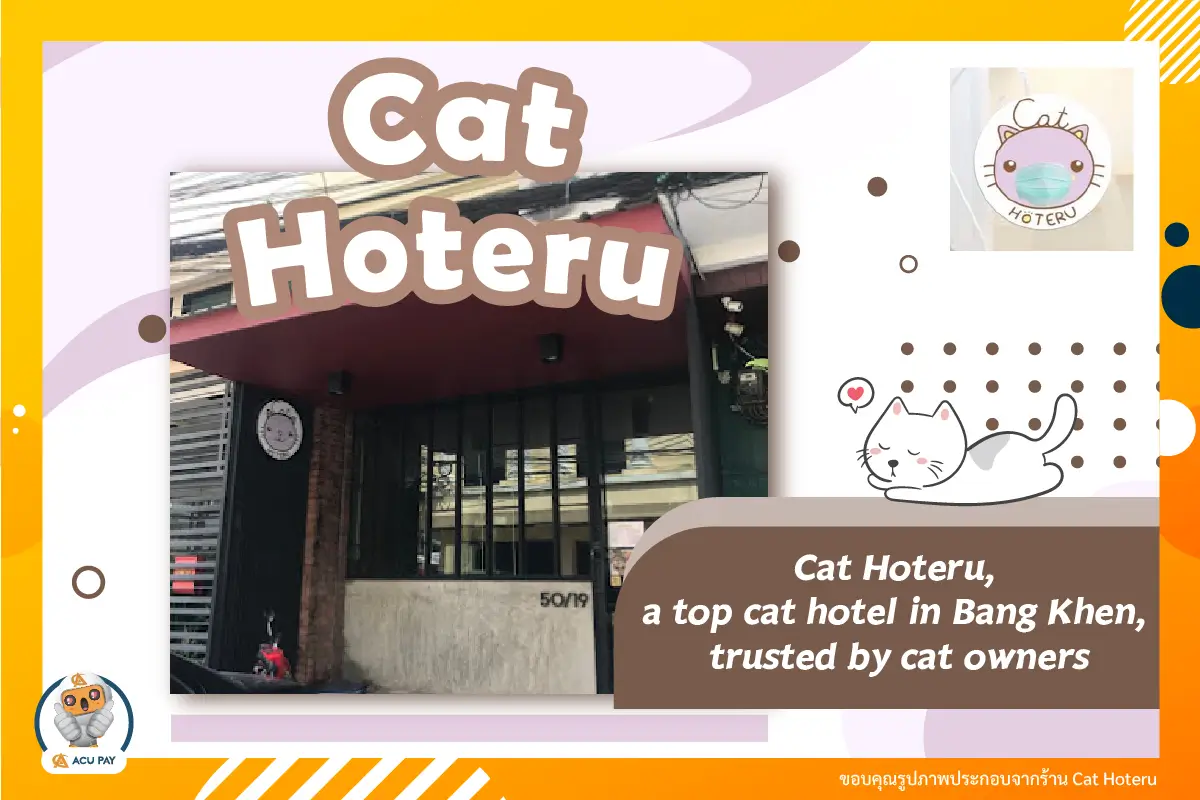 Cat Hoteru
