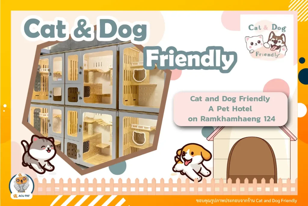 Cat and Dog
