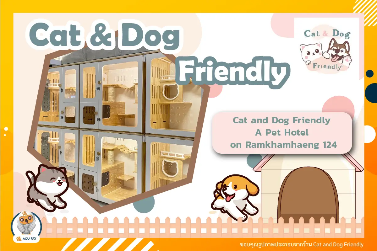 Cat and Dog Friendly – Pet Hotel on Ramkhamhaeng 124