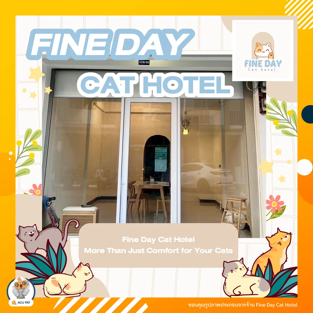 Fine Day Cat Hotel – More Than Just Comfort for Your Cats