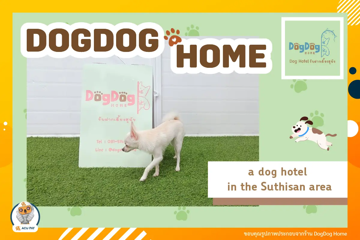 Dog Dog Home – a dog hotel in the Suthisan area