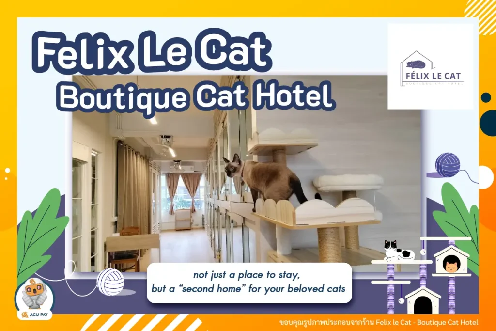 Felix Le Cat